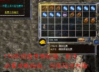 176ɰ洫˽ֱؿָϣ귨½