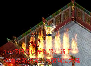 176ɰ洫˽ֱؿָϣ귨½
