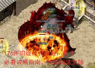 176ɰ洫˽ֱؿָϣ귨½