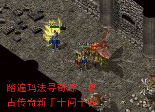 ̤귨Ѱ٣Ŵʮʮ