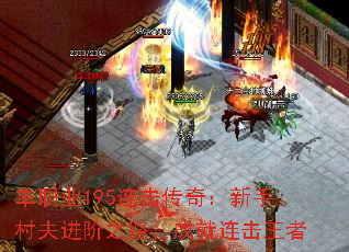 ְҵ195棺ִ֮·ɾ