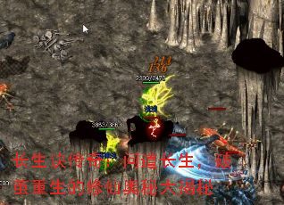 棺ʵƼɰش