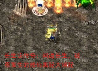 棺ʵƼɰش