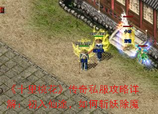 ʮһ˽⣺;նħ