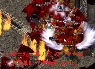 ѩ˫ƵУ¿ѩְҵ׹