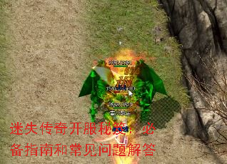 ʧ濪ţرָϺͳ