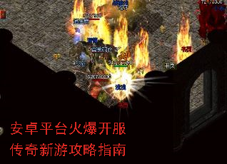 ׿ƽ̨𱬿ιָ