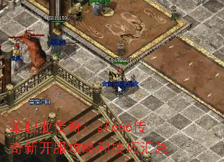 ְҵ棺sf666¿Ժͼɻ