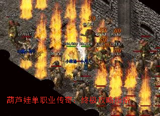 «޵ְҵ棺ռָ