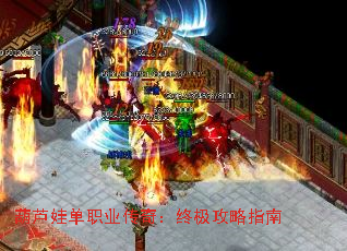«޵ְҵ棺ռָ