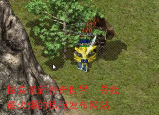 ̽´磺Ѱ𱬵˽վ