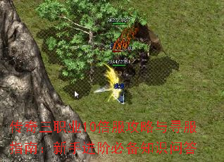 ְҵ10Ѱָϣֽױر֪ʶʴ