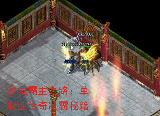 ɳǰ֮·ְҵưؼ