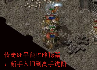 SFƽ̨ؼŵֽ