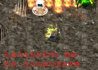 ˽淢999ְҵƷװͨع