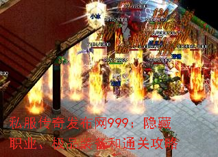 ˽淢999ְҵƷװͨع