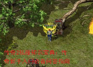 2˽֪ʶ䣺űرʴָ