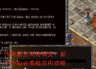 ¿΢䣺Сױؿʵù