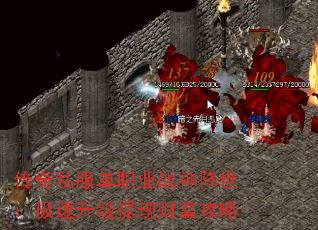 ˽ְҵսֲƸ