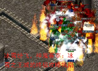 ѩ׷ɣħͣѩ֮ǵռָ