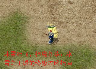 ѩ׷ɣħͣѩ֮ǵռָ