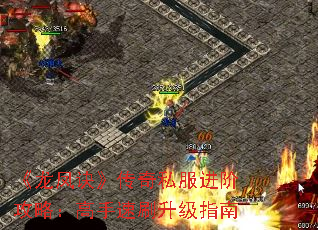 ˽׹ԣˢָ