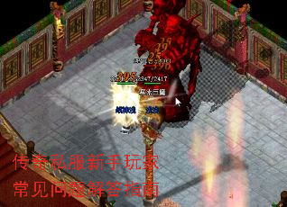 ˽ҳָ