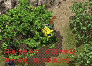 ʵ磺·ؼأݺɳ