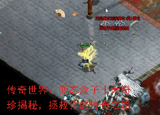 磺̬ʮأĴ֮·