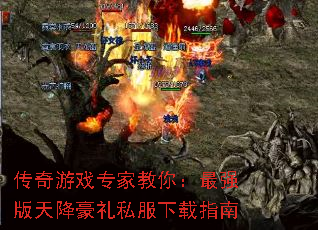 Ϸרҽ㣺ǿ콵˽ָ