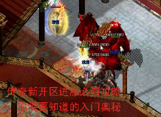 传奇新开区进服必看攻略：你需要知道的入门奥秘