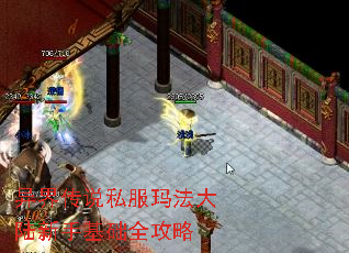 紫˵˽귨½ֻȫ
