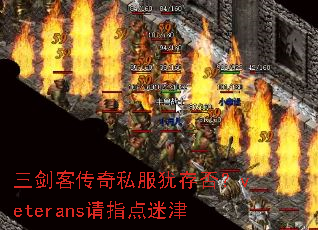 ʹ˽̴veteransָԽ