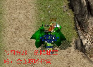 ˽еرأȫ湥ָ