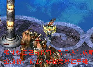 Ŵ棺Źȫˢؼ