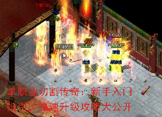 ְҵи棺ָԴ󹫿