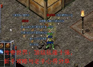 磺˽ʮǿֹĵ÷