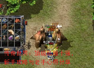 磺˽ʮǿֹĵ÷