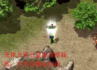 无限元宝公益服攻略秘笈：大师级爆装指南
