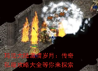 귨½£˽Դȫ̽