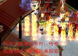 귨½£˽Դȫ̽