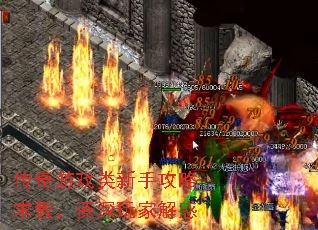 Ϸֹ̣ҽ