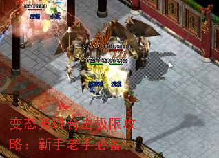 ̬Ӣۺϻ޹ԣֱر