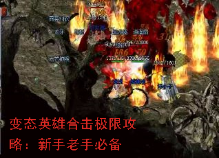 ̬Ӣۺϻ޹ԣֱر