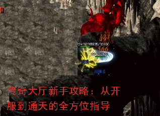 ֹԣӿͨȫλָ