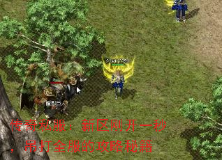 ˽տһ룬ȫĹؼ