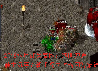 2016ˮʧ;˭ִعʴ𼯽