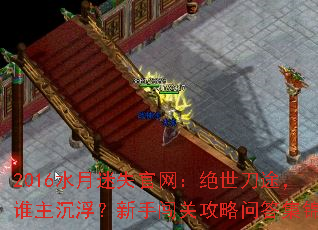 2016ˮʧ;˭ִعʴ𼯽