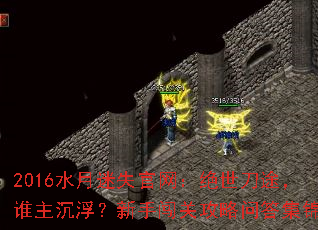 2016ˮʧ;˭ִعʴ𼯽
