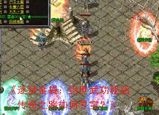 《逐梦金袋：绝世武功秘籍，传奇之路如何寻宝？》